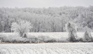 Ice covered fields of Metamora, Michigan, where I also grew up. (c) AP